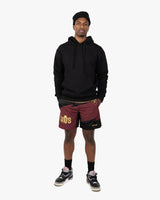 AM / Cleveland Cavaliers Nylon Mesh Shorts on